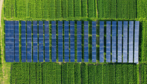 découvrez un état des lieux inédit de l'agrivoltaïsme en france, analysant le nombre d'installations et la taille moyenne des projets pour mieux comprendre cette innovation durable.