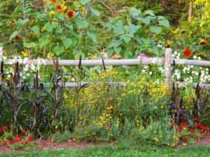 La protection de vos terres et de vos cultures passe par l’installation d’une clôture adaptée et performante. Ce dispositif ne se contente pas de délimiter votre propriété : il constitue un rempart contre l’intrusion d’animaux sauvages et nuisibles, assurant ainsi […]