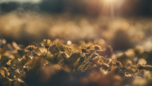Lorsqu’il s’agit d’optimiser l’efficacité énergétique de votre domicile tout en réduisant votre impact écologique, la sélection des panneaux solaires adéquats est cruciale. Entre les modèles monocristallins et polycristallins, le choix peut s’avérer complexe. Cet article met en lumière les différences […]