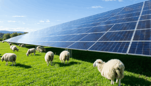 Le parc solaire de Riesa, établi sur un ancien site de commerce de charbon, a subi une transformation exemplaire: il produit désormais de l’électricité grâce à une installation de photovoltaïque. De plus, la gestion de l’entretien des espaces verts a […]