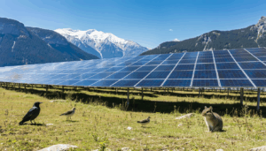 La centrale photovoltaïque projetée à Brousses-et-Villaret, sur une superficie de 6,5 hectares, a reçu un feu vert conditionnel de la commission départementale de prévention des espaces naturels, agricoles et forestiers de l’Aude. Bien que cette décision soit un pas en […]