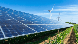 La transition énergétique prend une tournure audacieuse à Zerbst, avec un projet de parc solaire qui suscite à la fois intérêt et controverses. En lieu et place des traditionnels champs de maïs, des milliers de panneaux solaires devraient voir le […]
