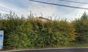 Eurl Bize Noel à Mazerolles-Le-Salin