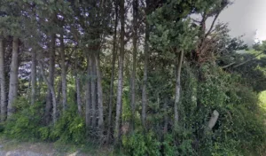 Kps à Rochefort-Du-Gard