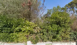 Eccotech à Mougins