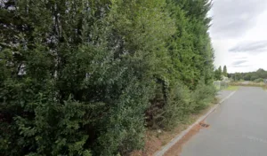 Dieulangard Sas à Quessoy